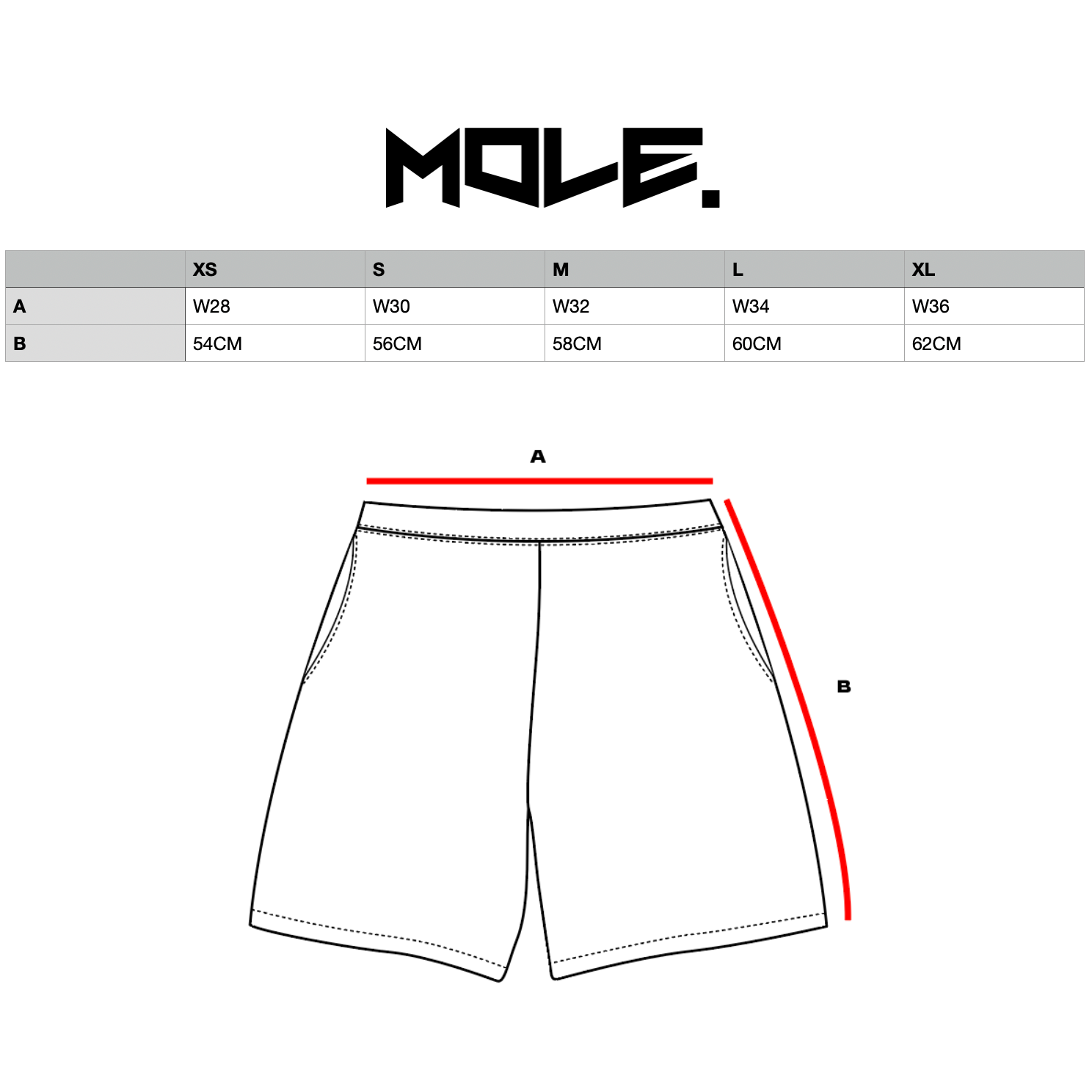 Distressed logo jorts PRE-ORDER