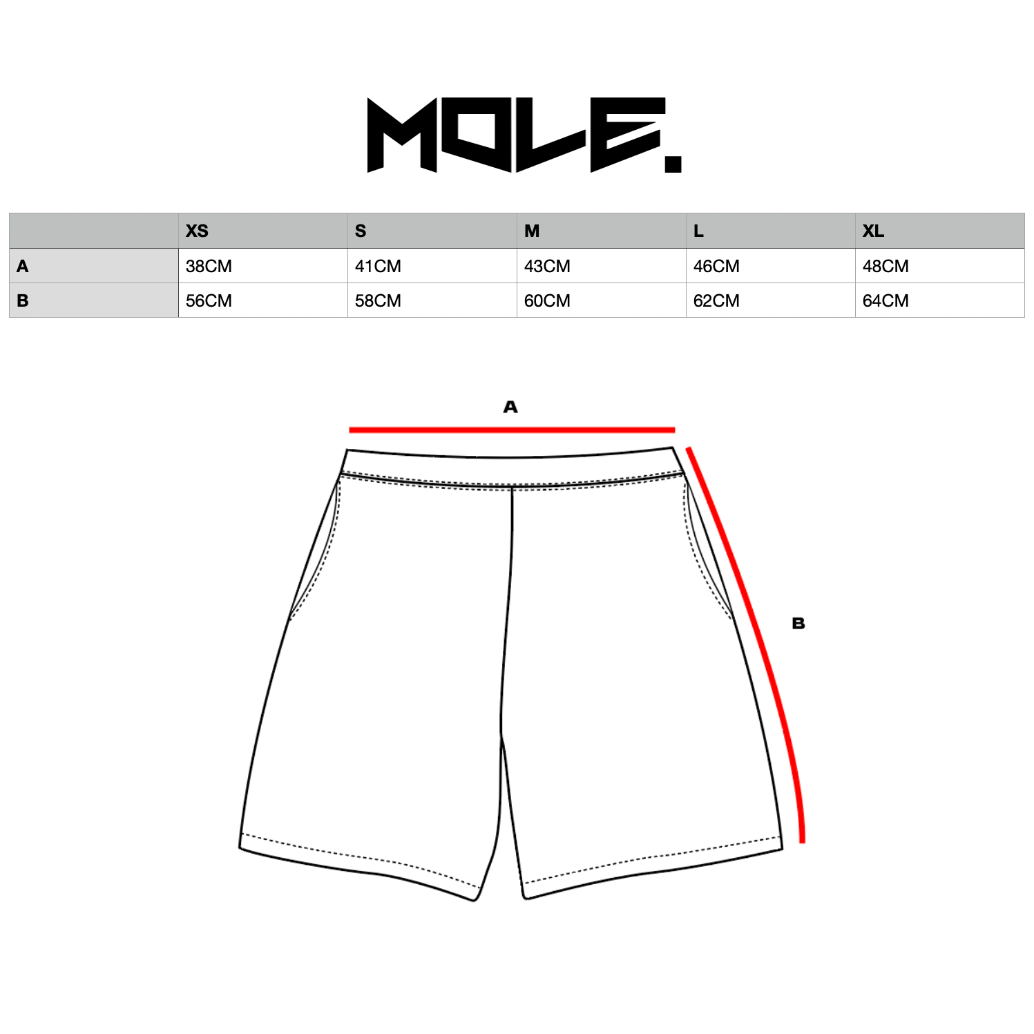 Blown out logo jorts